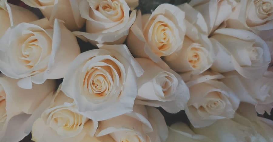 Arreglos florales