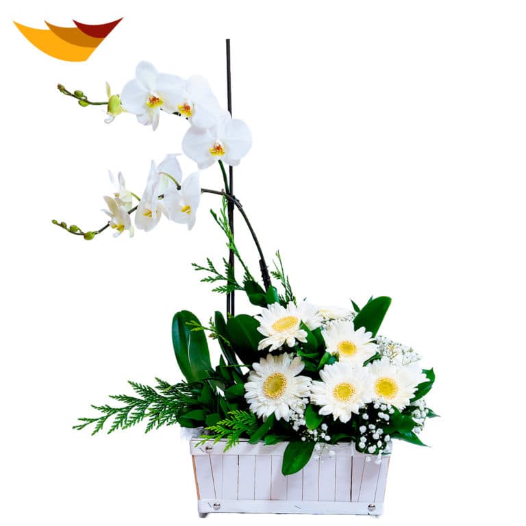 ARREGLO DE ORQUIDEAS Y GERBERAS